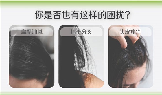 资生堂-品牌礼品定制